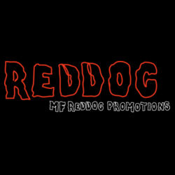 Reddog 1 Festival - GD01B Softstyle® Youth T-Shirt Design